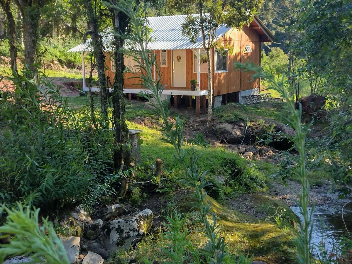 Casas De Temporada Serra Dos Bitus 乌鲁比西 外观 照片