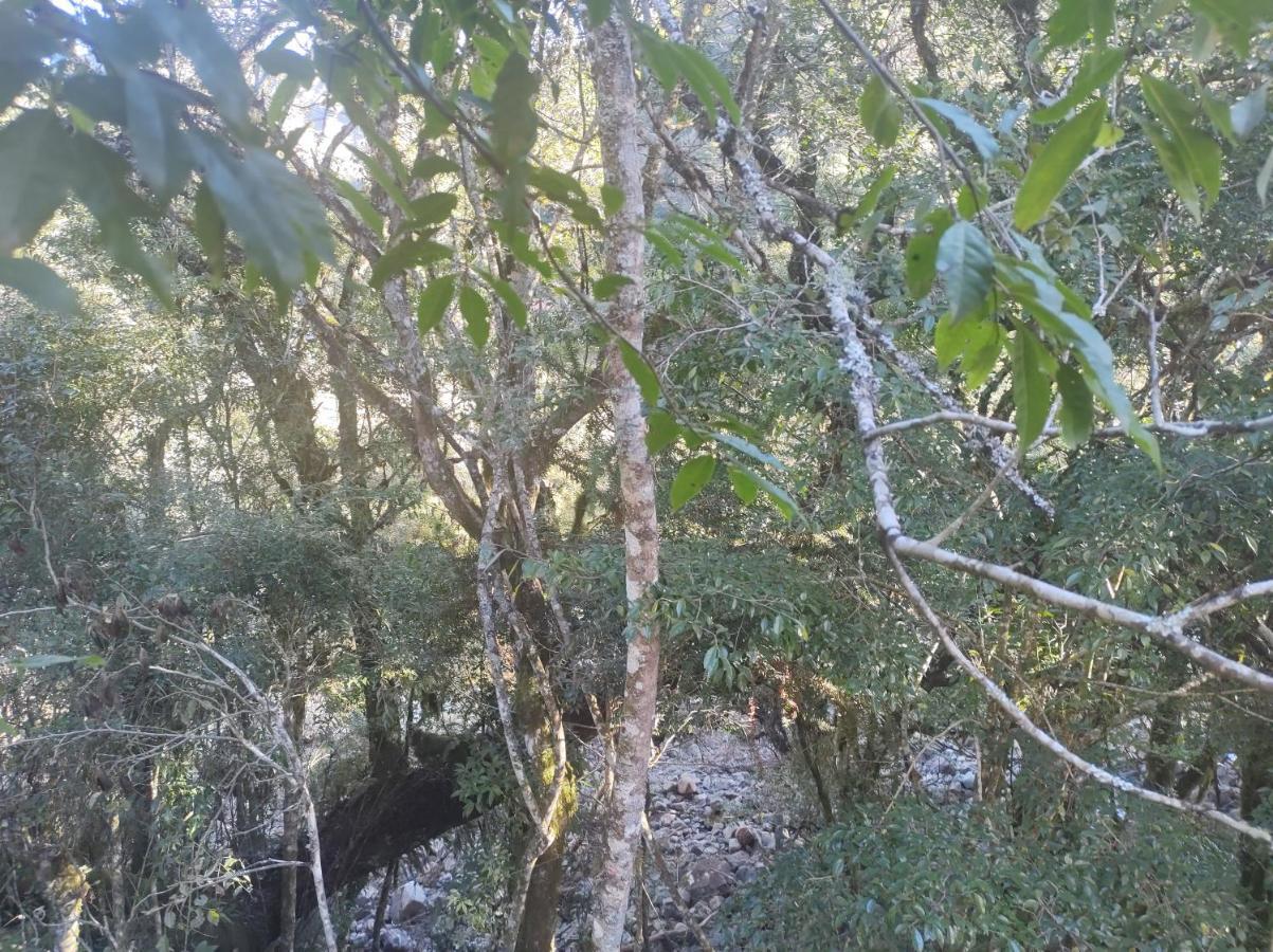 Casas De Temporada Serra Dos Bitus 乌鲁比西 外观 照片